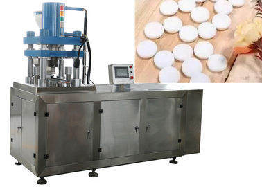 Professional Camphor Tablet Making Machine Totally Closed Stainless Steel Body